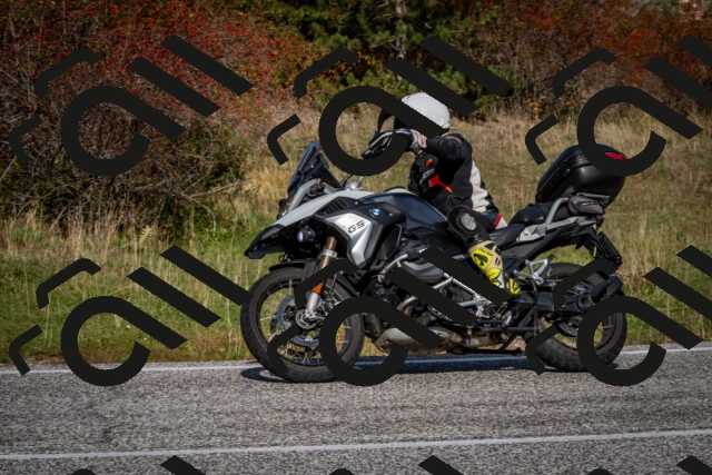 202510191144-DSC_8924_c2