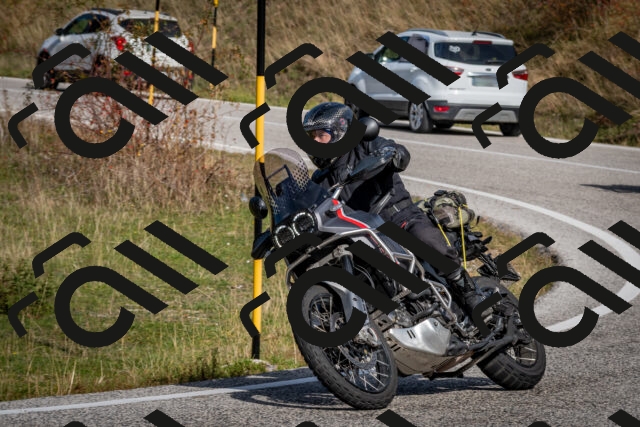 202510191144-DSC_8929_c2