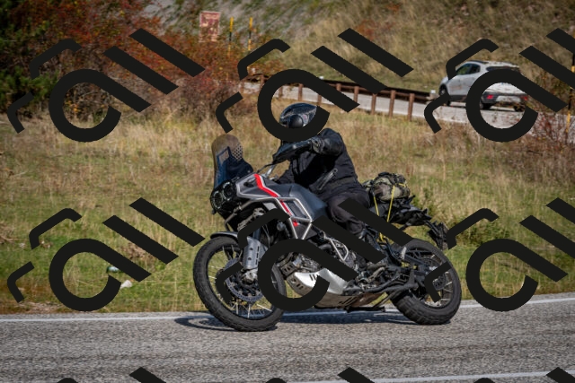 202510191144-DSC_8930_c2