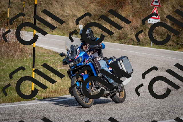 202510191144-DSC_8931_c2