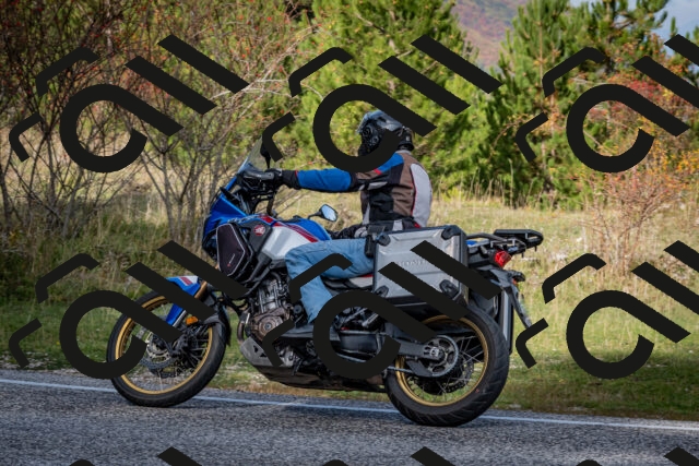 202510191144-DSC_8933_c2