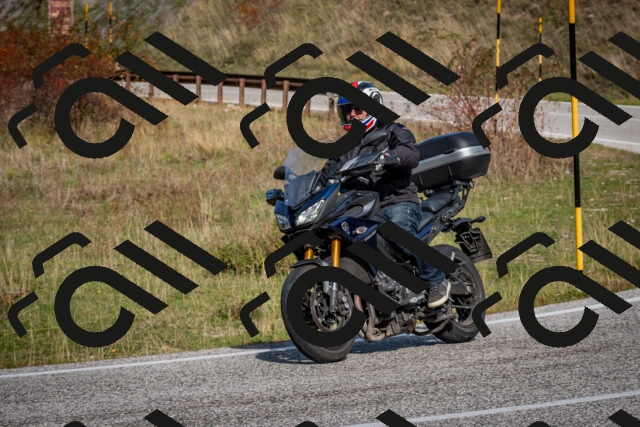 202510191146-DSC_8937_c2