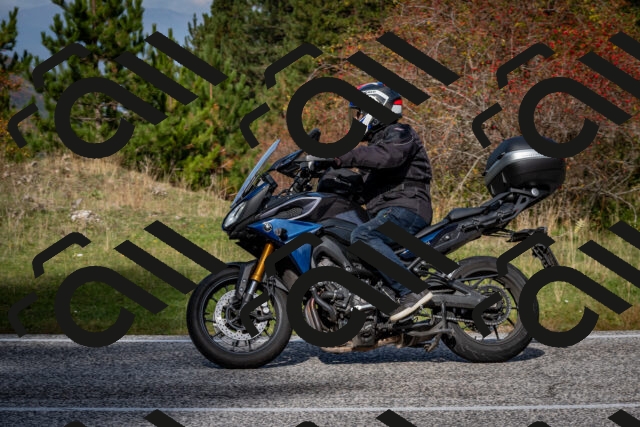 202510191146-DSC_8938_c2