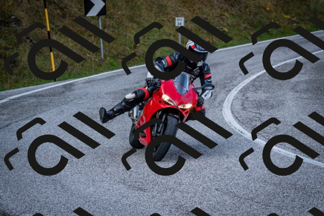 202510191154-DSC_8942_c2