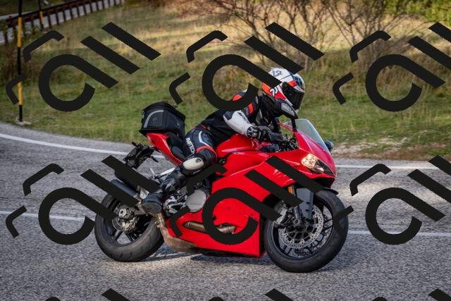 202510191154-DSC_8944_c2