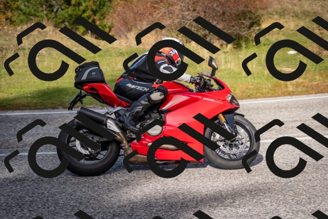 202510191154-DSC_8945_c2