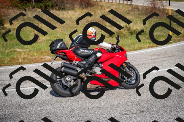 202510191154-DSC_8946_c2