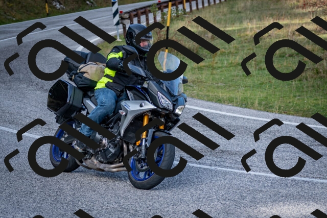 202510191156-DSC_8955_c2