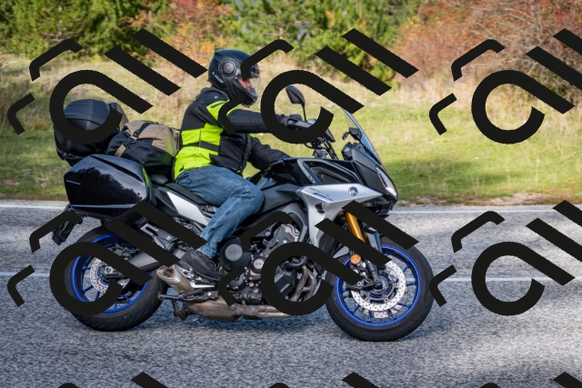 202510191156-DSC_8957_c2