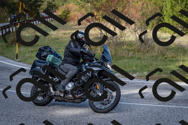 202510191156-DSC_8959_c2