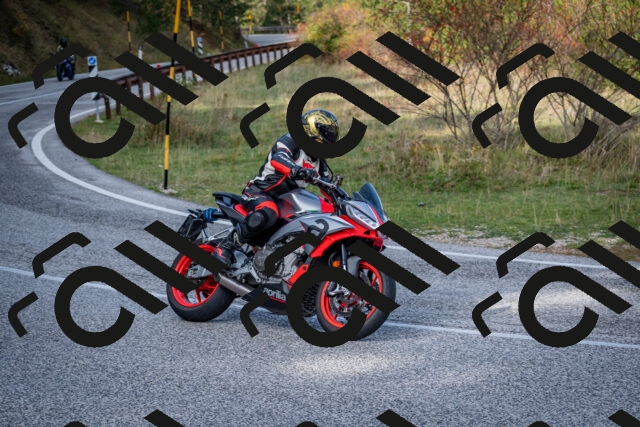 202510191156-DSC_8960_c2