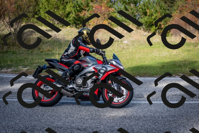 202510191156-DSC_8961_c2