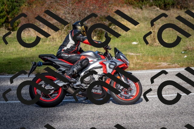 202510191156-DSC_8962_c2