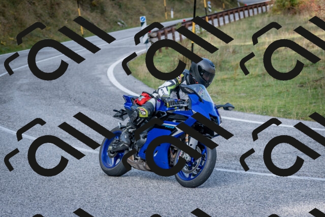 202510191156-DSC_8963_c2