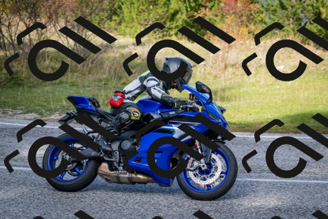 202510191156-DSC_8964_c2