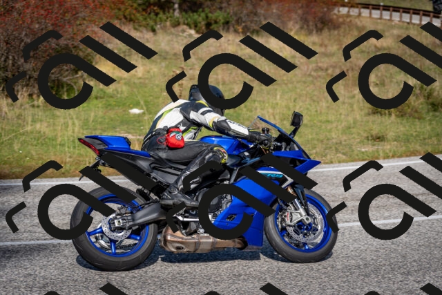 202510191156-DSC_8965_c2