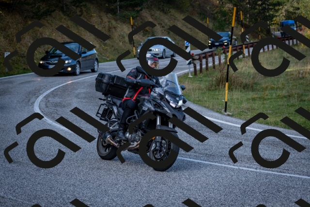 202510191200-DSC_8969_c2