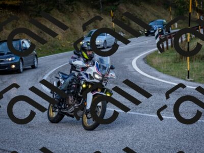 202510191200-DSC_8970_c2