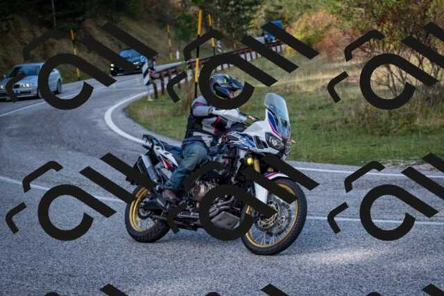 202510191200-DSC_8971_c2