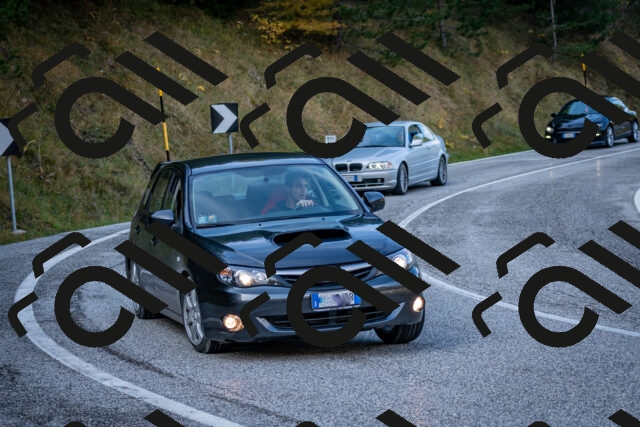 202510191200-DSC_8972_c2