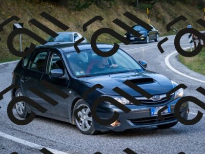 202510191200-DSC_8973_c2