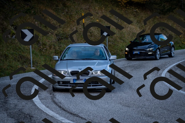 202510191200-DSC_8974_c2