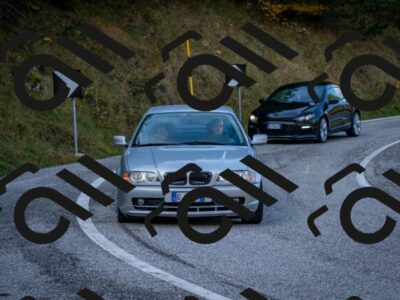 202510191200-DSC_8975_c2