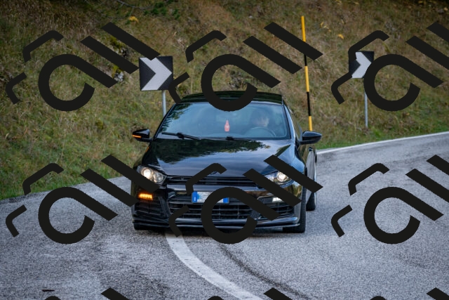 202510191200-DSC_8976_c2