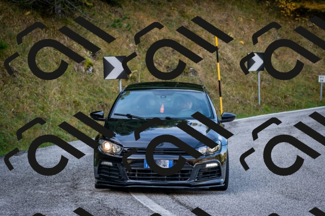 202510191200-DSC_8977_c2