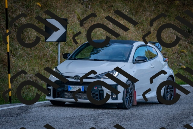 202510191201-DSC_8978_c2