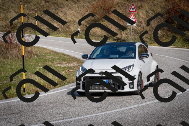 202510191201-DSC_8984_c2