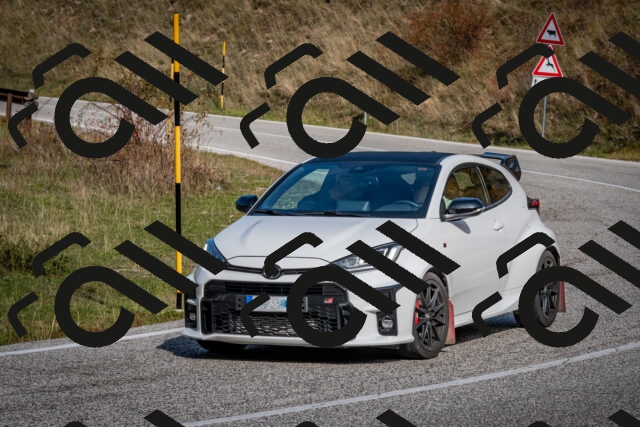 202510191201-DSC_8985_c2