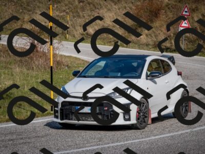 202510191201-DSC_8985_c2