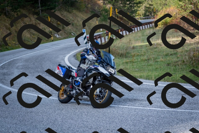 202510191203-DSC_8990_c2