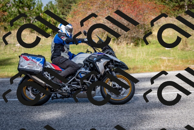 202510191203-DSC_8992_c2