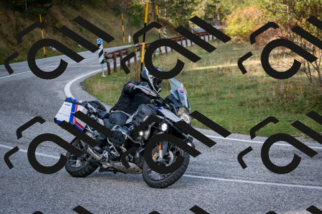 202510191206-DSC_8994_c2