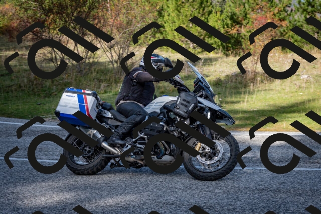 202510191206-DSC_8995_c2