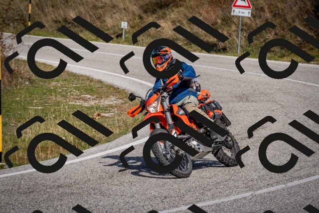 202510191206-DSC_8997_c2