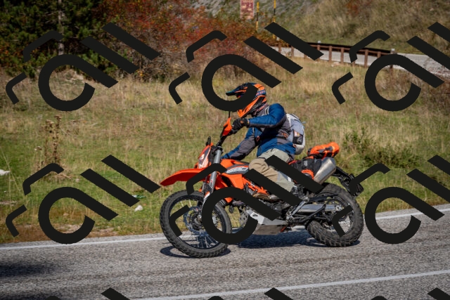 202510191206-DSC_8998_c2