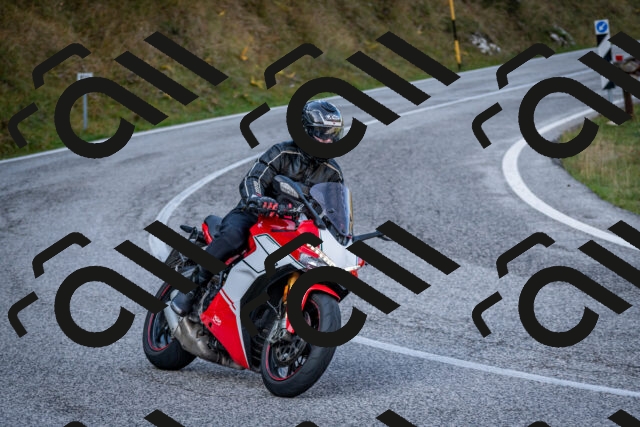 202510191207-DSC_9000_c2