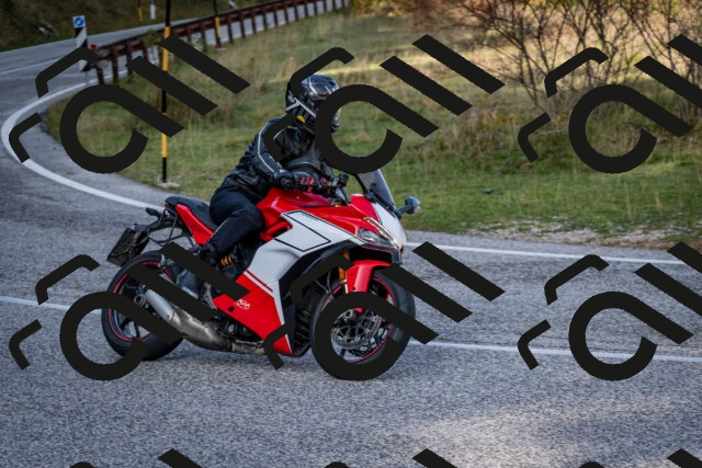 202510191207-DSC_9001_c2