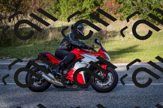 202510191207-DSC_9002_c2