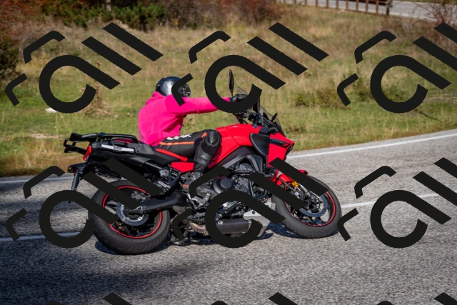 202510191209-DSC_9006_c2