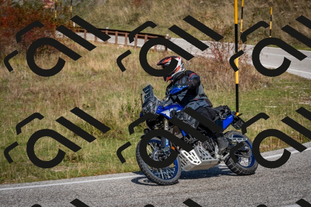 202510191212-DSC_9011_c2