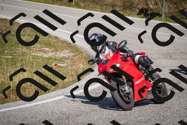 202510191215-DSC_9016_c2