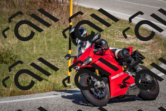 202510191215-DSC_9017_c2