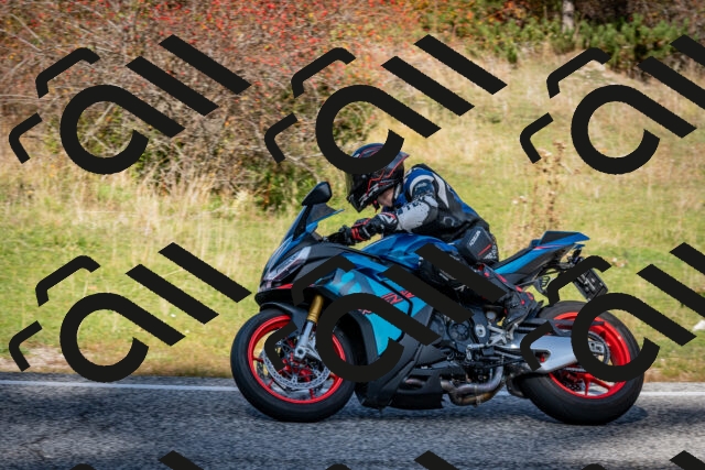 202510191215-DSC_9020_c2