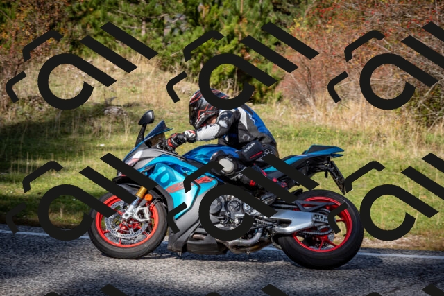 202510191215-DSC_9021_c2