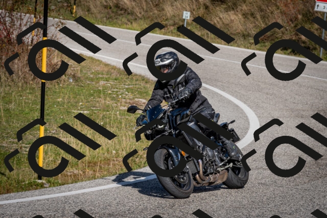 202510191215-DSC_9022_c2