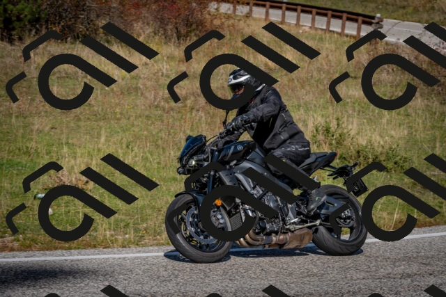 202510191215-DSC_9023_c2